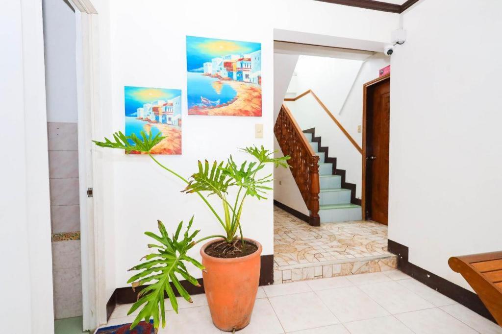 Mayon Backpackers Hostel Legazpi Zewnętrze zdjęcie
