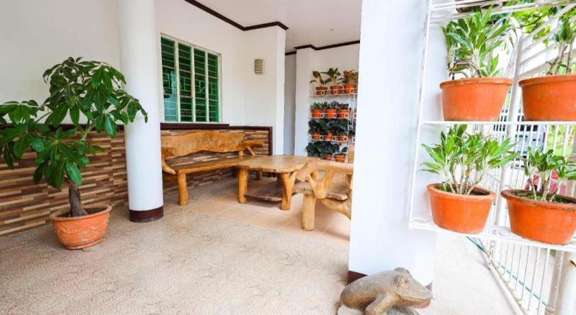 Mayon Backpackers Hostel Legazpi Zewnętrze zdjęcie